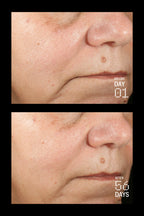 Allies of Skin Peptides & Antioxidants Advanced Firming Daily Treatment
